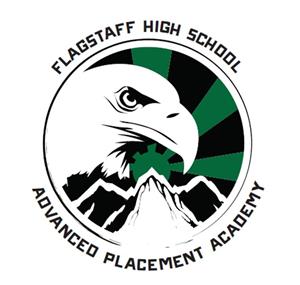 AP Academy Logo 